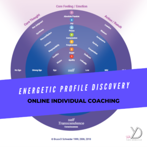 Energetic Profile Discovery
